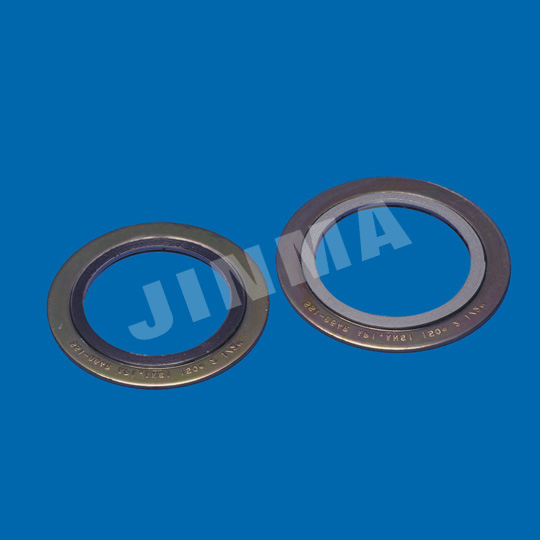 Spiral Wound Gasket With Outer Ring