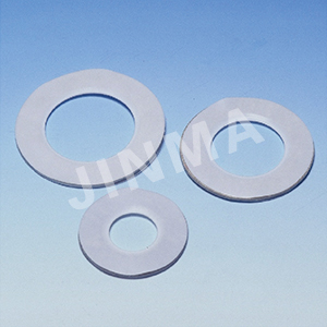 Ptfe Cushion Gasket
